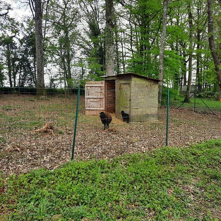 Maison De Campagne Au Calme Chuelles Buitenkant foto